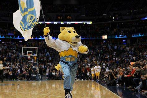 The Denver Nuggets Mascot: More than Just a Furry Friend